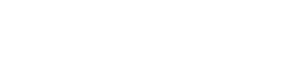 Dentsu Macromill Insight, Inc.