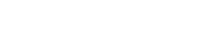 Macromill, Inc.