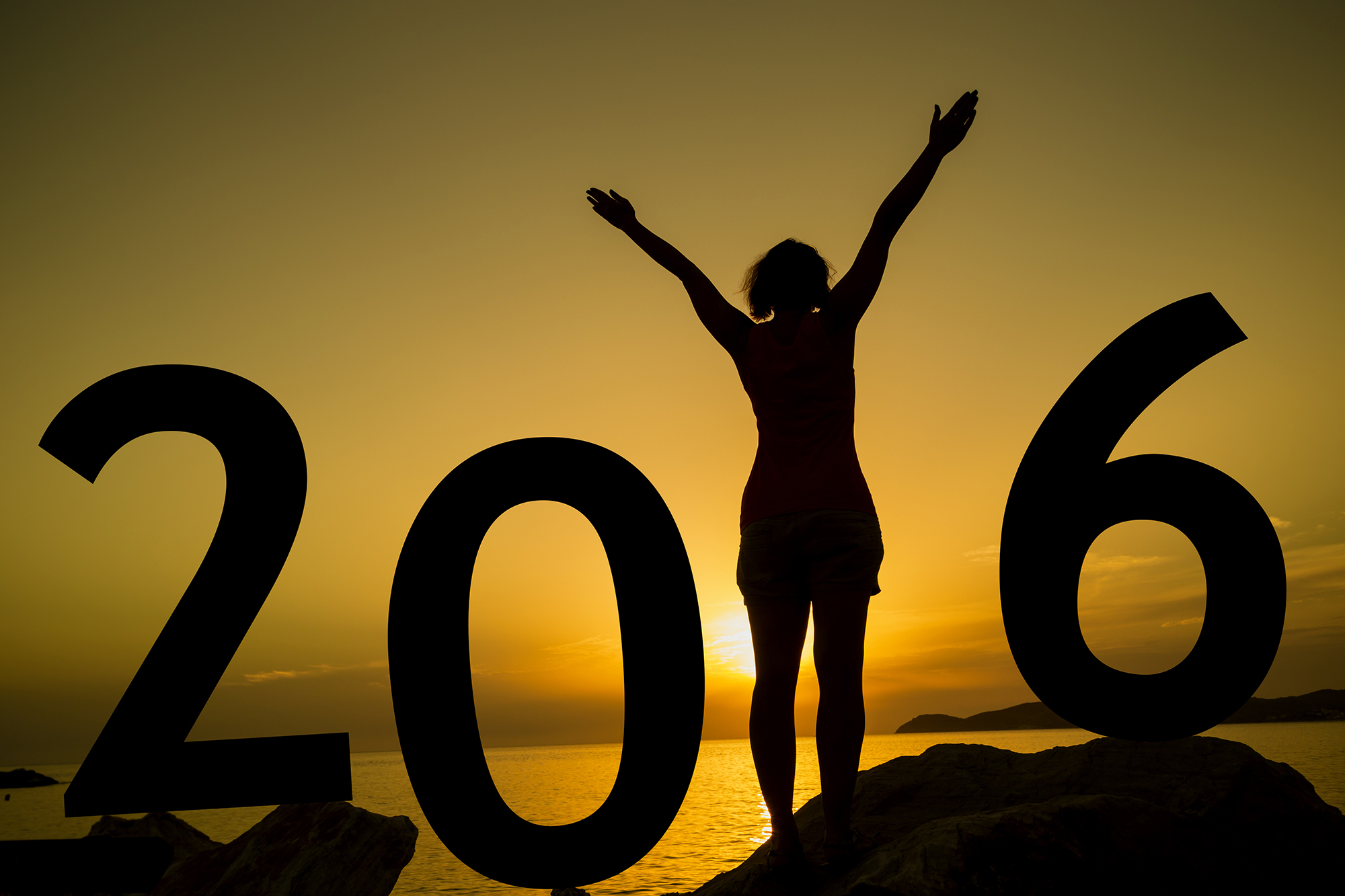 2016年の新年の抱負ランキング