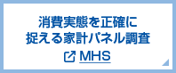 消費実態を正確に捉える MHS