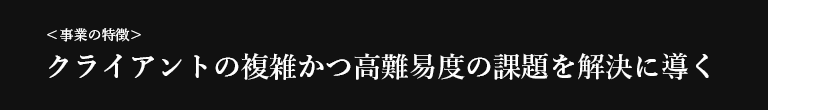 ＜事業の特徴＞ クライアントの複雑かつ高難易度の課題を解決に導く