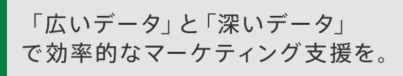 「広いデータ」と「深いデータ」で効率的なマーケティング支援を。