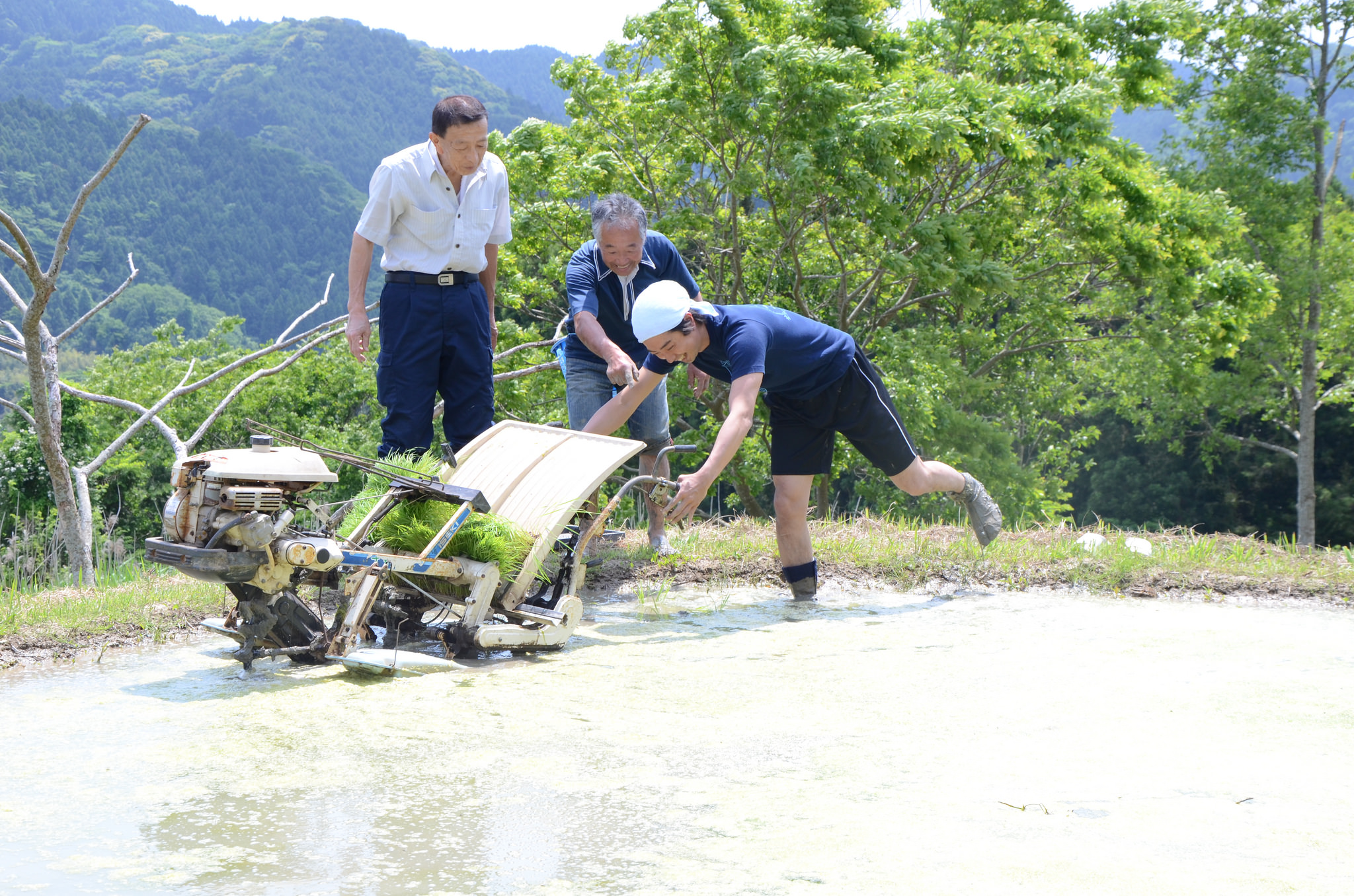 img-11