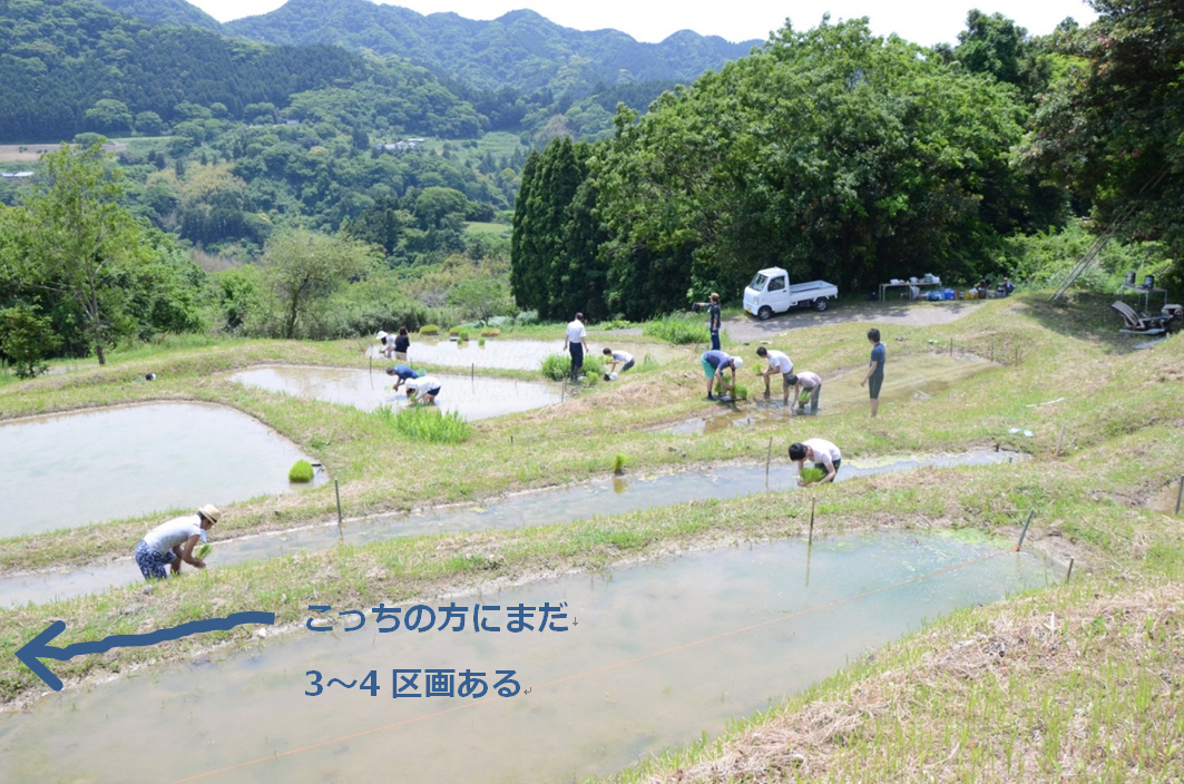 img-3