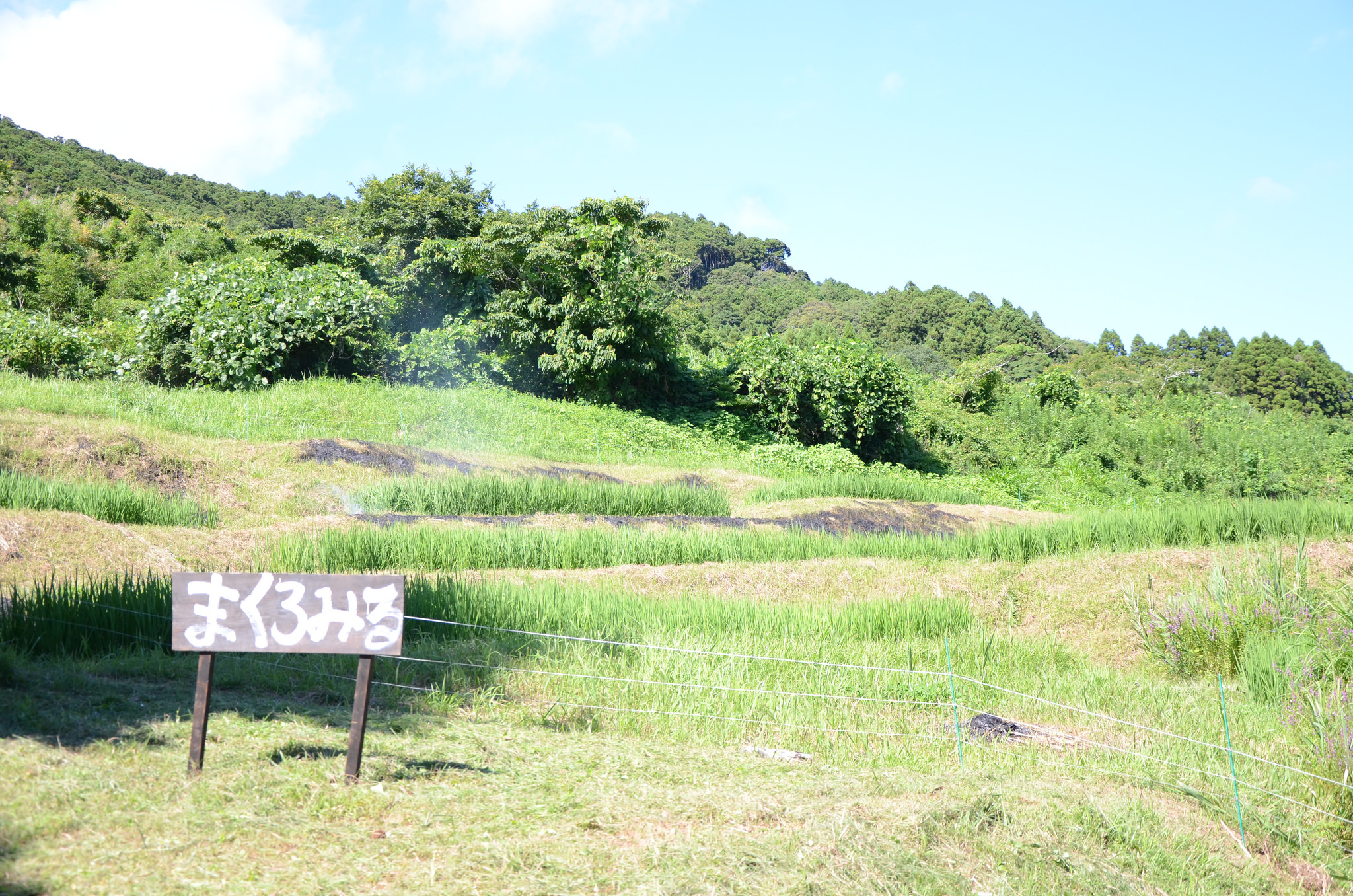img-15