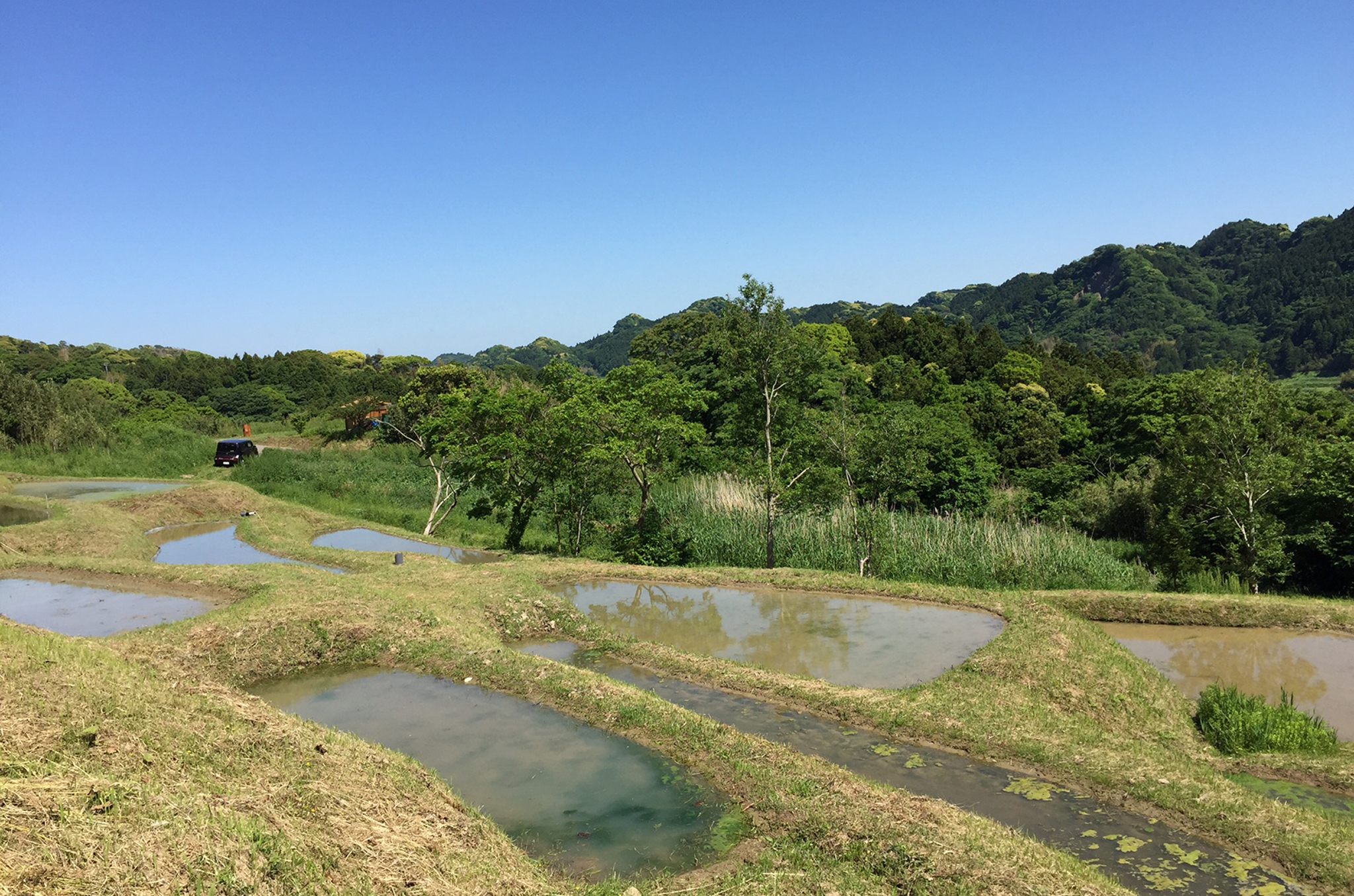 黄金郷を探して