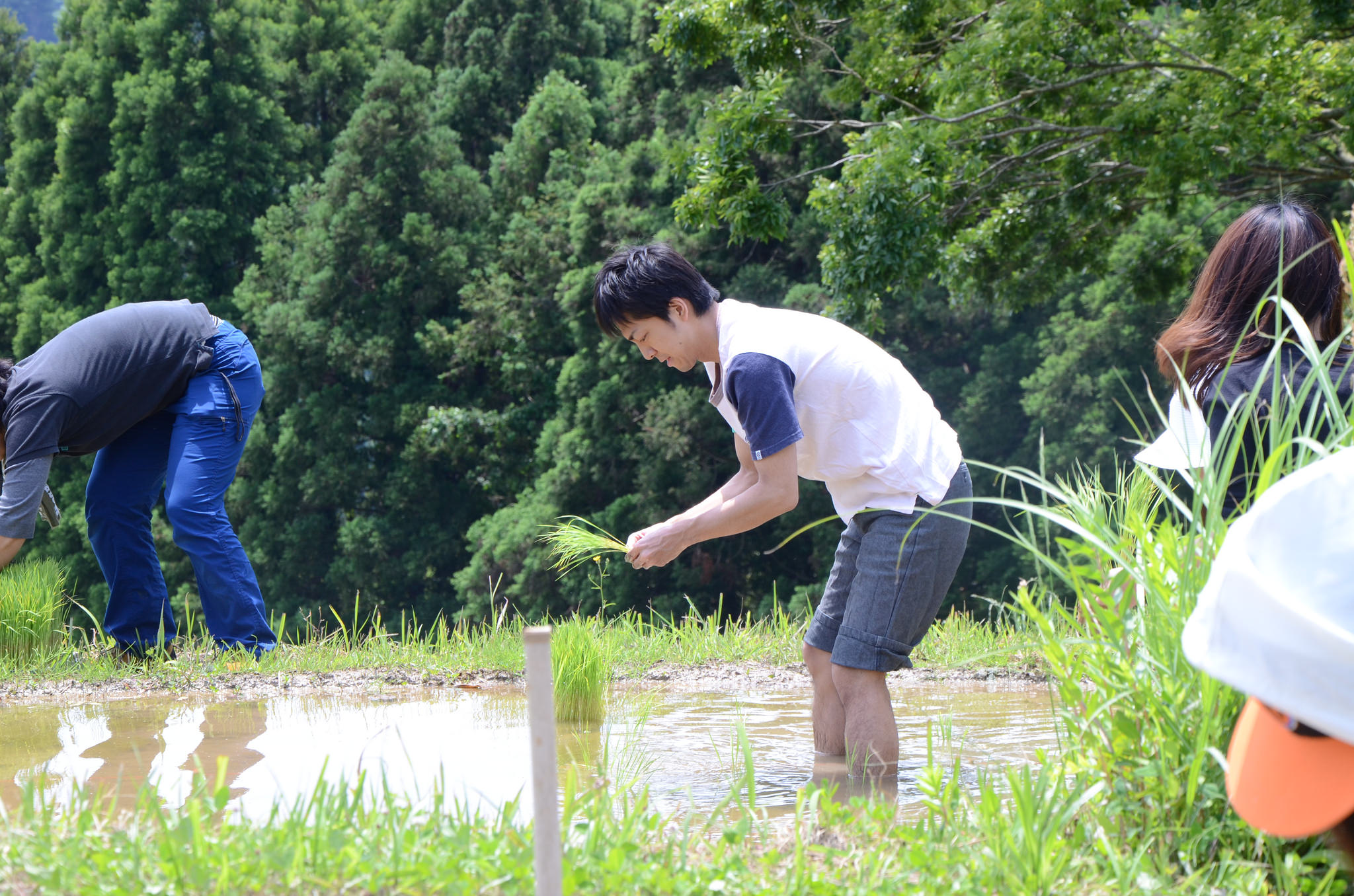 田植え～ず発足