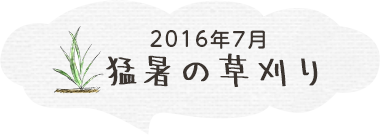 猛暑の草刈り