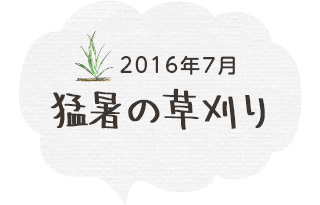 猛暑の草刈り