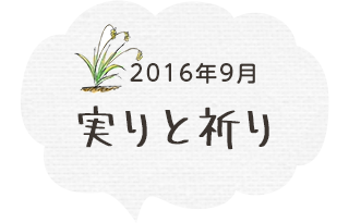 実りと祈り