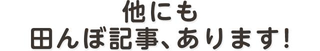 他にも田んぼ記事、あります！