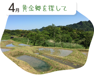 黄金郷を探して