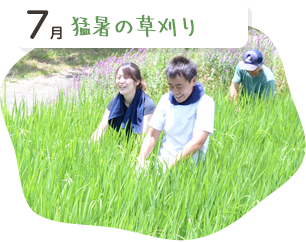 猛暑の草刈り