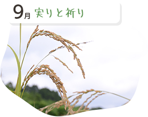 実りと祈り