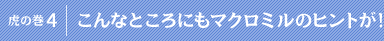 �Ղ̊��S�F����ȂƂ���ɂ��}�N���~���̃q���g���I